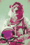 Avatar du membre