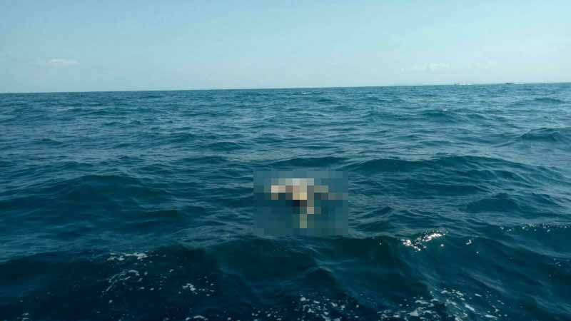 cliquez sur l'image pour agrandir