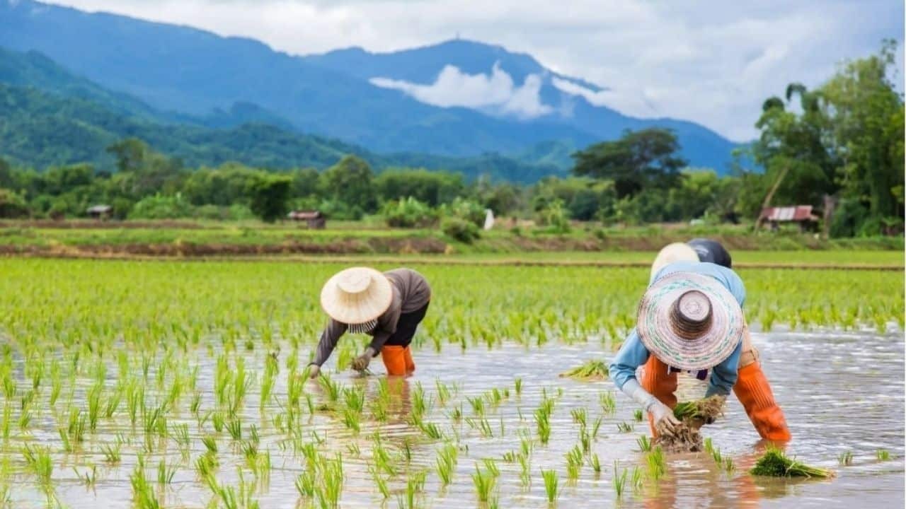 Photo Thailand Now